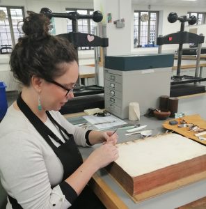 Conservation Conversations: Making Models – Cambridge University ...