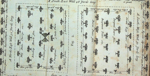Orchard plan from Laurence 1717
